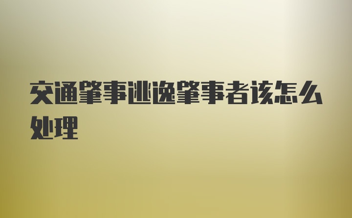 交通肇事逃逸肇事者该怎么处理