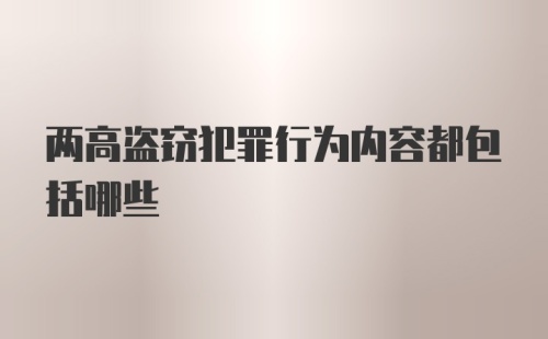 两高盗窃犯罪行为内容都包括哪些