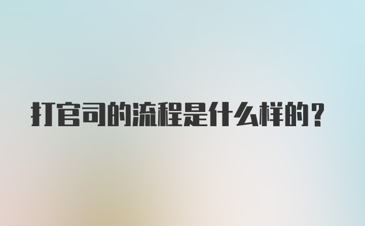 打官司的流程是什么样的？