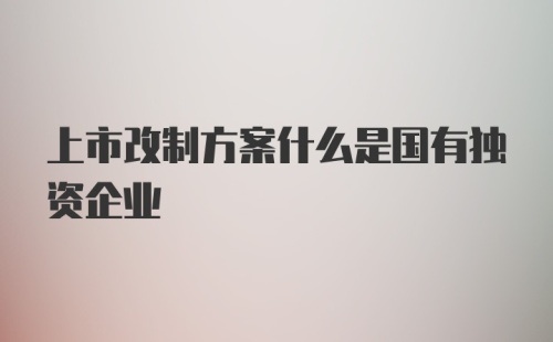 上市改制方案什么是国有独资企业