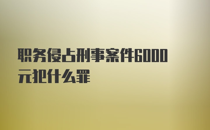 职务侵占刑事案件6000元犯什么罪