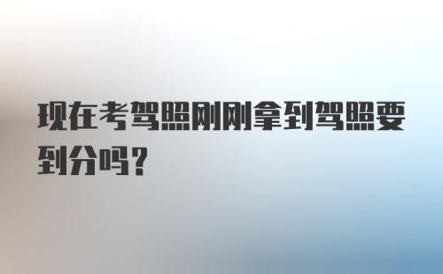 现在考驾照刚刚拿到驾照要到分吗？