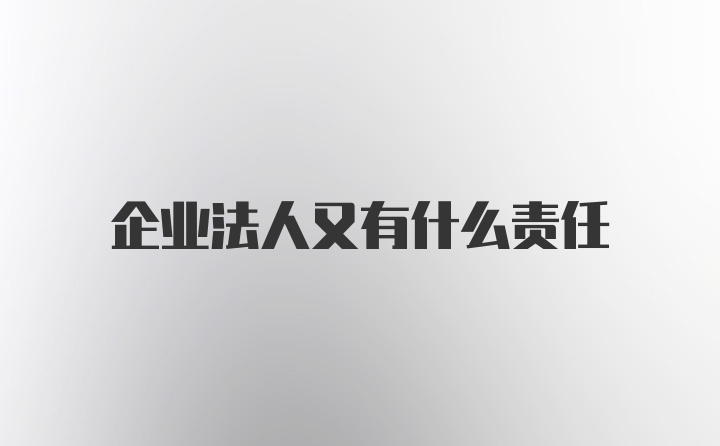 企业法人又有什么责任