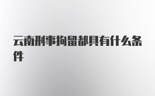 云南刑事拘留都具有什么条件