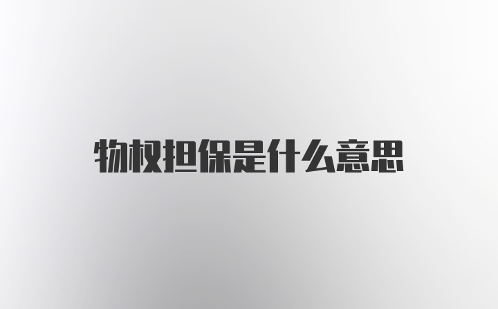 物权担保是什么意思