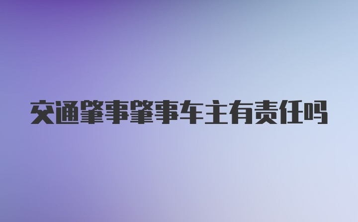 交通肇事肇事车主有责任吗