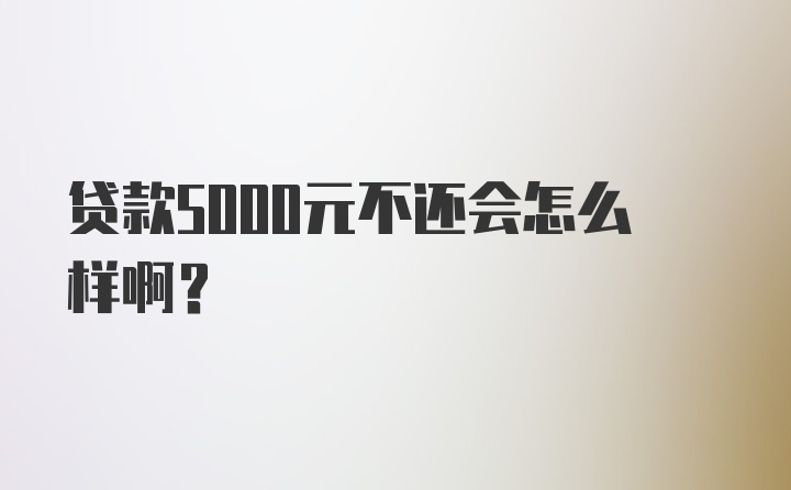 贷款5000元不还会怎么样啊？