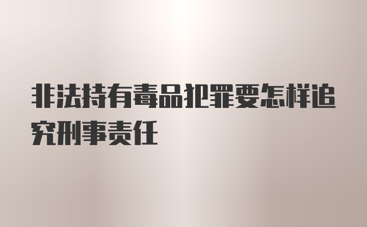 非法持有毒品犯罪要怎样追究刑事责任