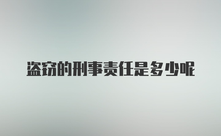 盗窃的刑事责任是多少呢