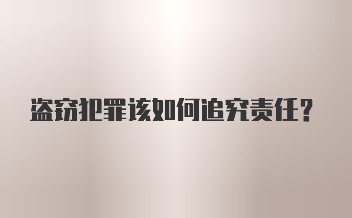 盗窃犯罪该如何追究责任？