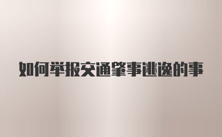 如何举报交通肇事逃逸的事