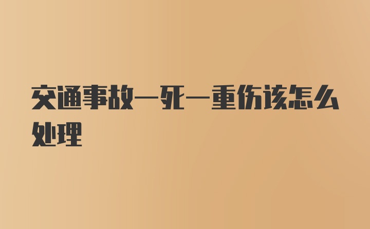 交通事故一死一重伤该怎么处理