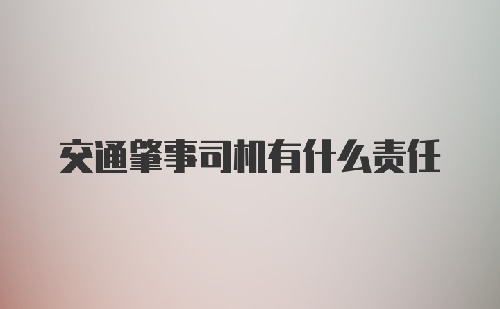 交通肇事司机有什么责任