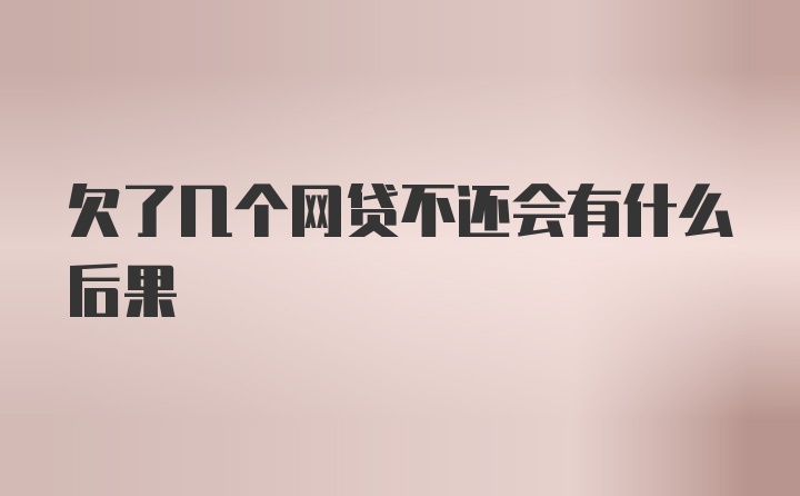 欠了几个网贷不还会有什么后果