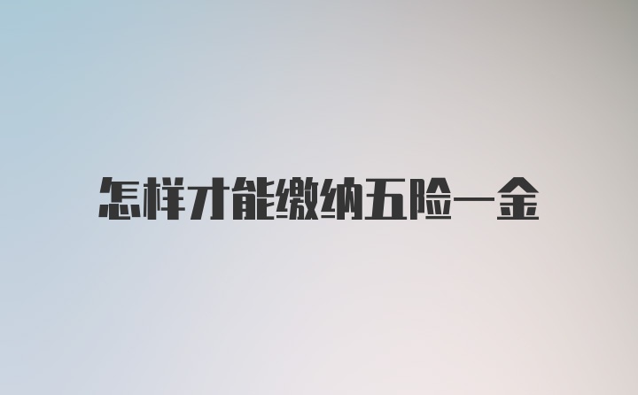 怎样才能缴纳五险一金