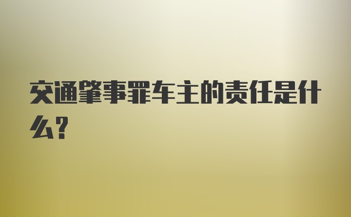 交通肇事罪车主的责任是什么？