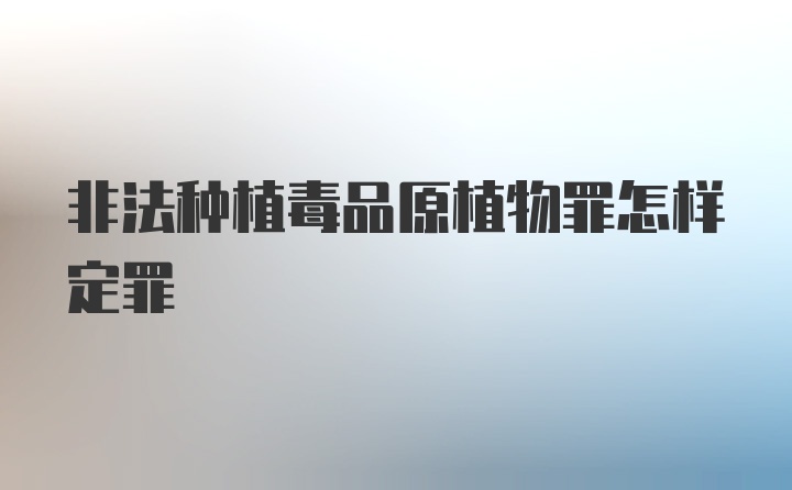 非法种植毒品原植物罪怎样定罪