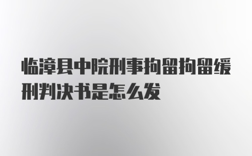 临漳县中院刑事拘留拘留缓刑判决书是怎么发