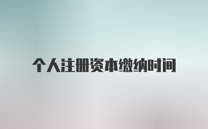 个人注册资本缴纳时间