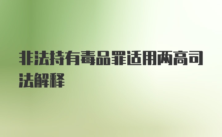 非法持有毒品罪适用两高司法解释