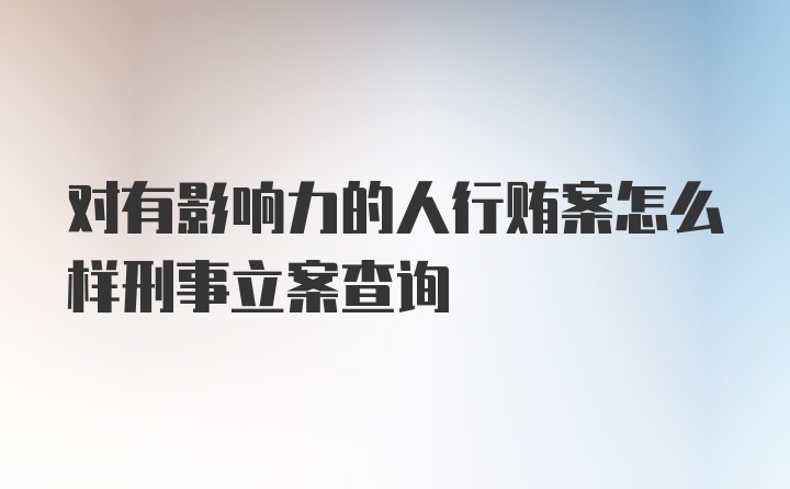 对有影响力的人行贿案怎么样刑事立案查询