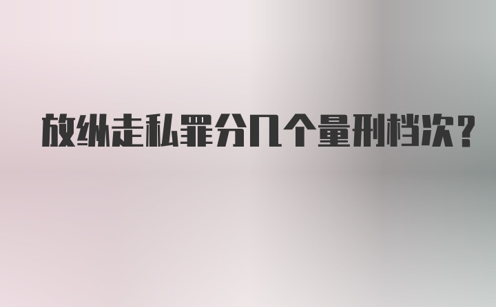 放纵走私罪分几个量刑档次？