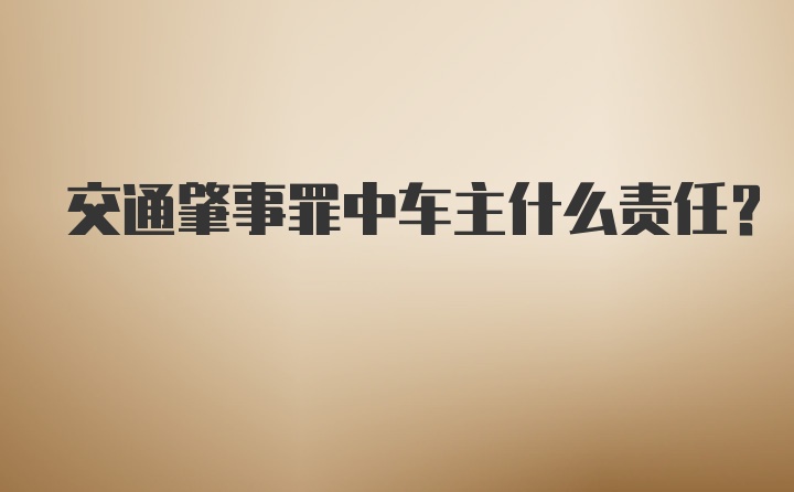 交通肇事罪中车主什么责任？