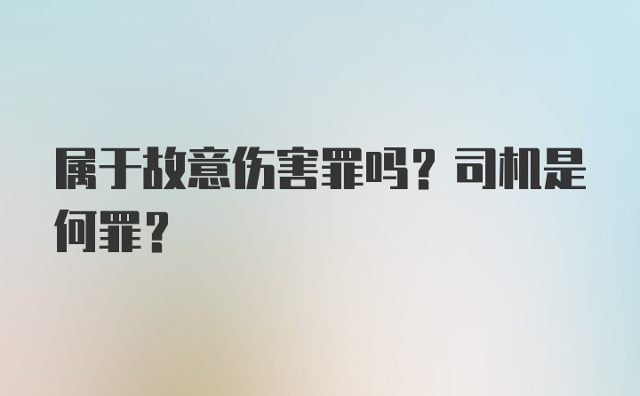 属于故意伤害罪吗？司机是何罪？