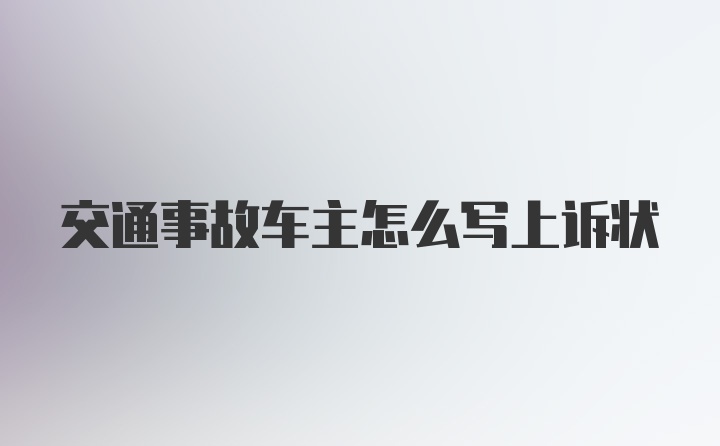 交通事故车主怎么写上诉状