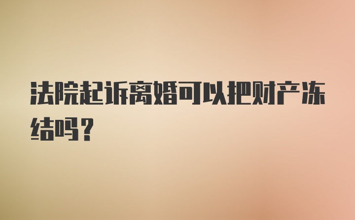 法院起诉离婚可以把财产冻结吗？