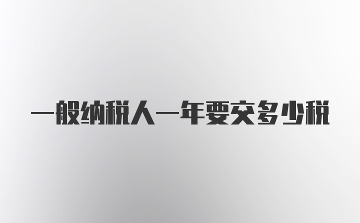 一般纳税人一年要交多少税