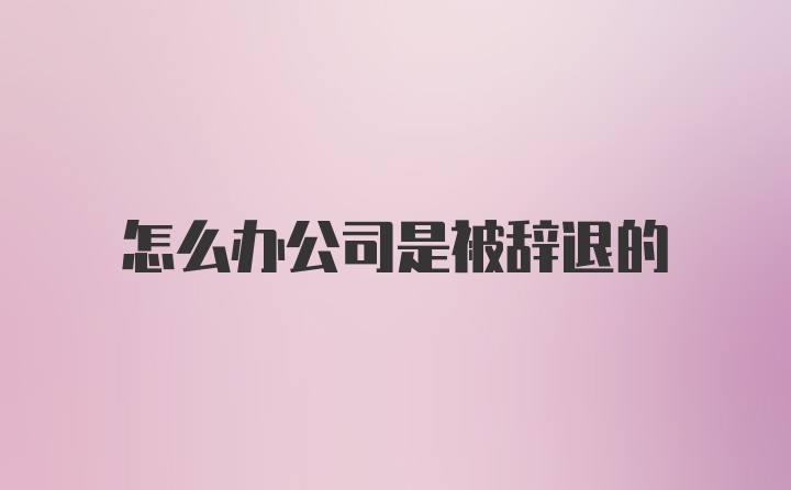 怎么办公司是被辞退的