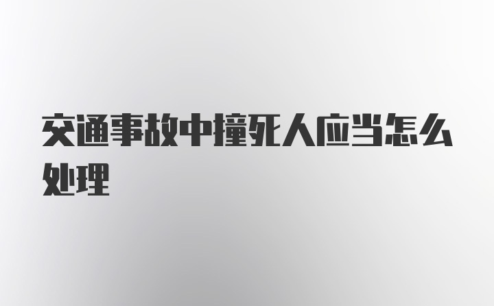 交通事故中撞死人应当怎么处理