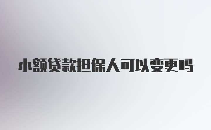 小额贷款担保人可以变更吗