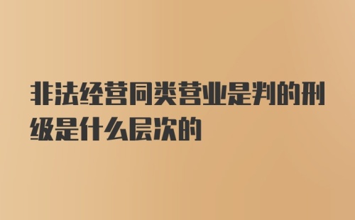 非法经营同类营业是判的刑级是什么层次的