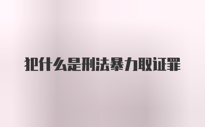 犯什么是刑法暴力取证罪