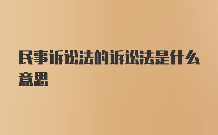 民事诉讼法的诉讼法是什么意思