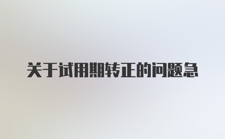 关于试用期转正的问题急