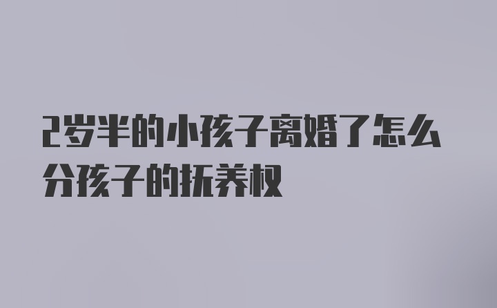 2岁半的小孩子离婚了怎么分孩子的抚养权