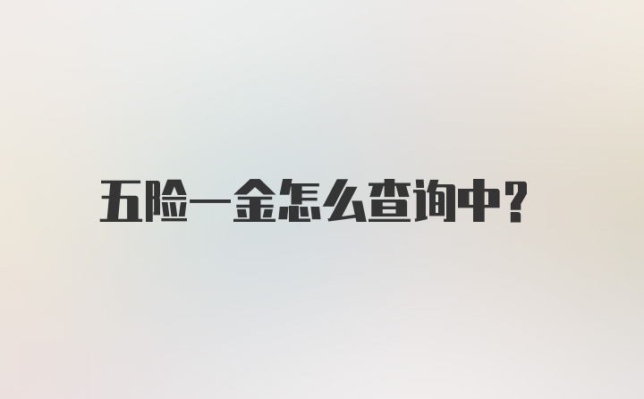 五险一金怎么查询中？