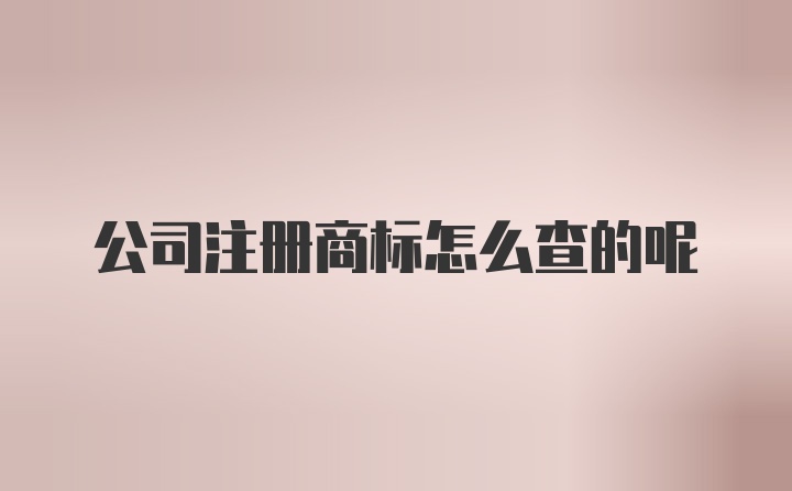 公司注册商标怎么查的呢