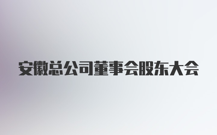 安徽总公司董事会股东大会