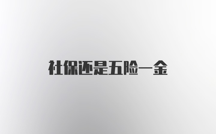 社保还是五险一金