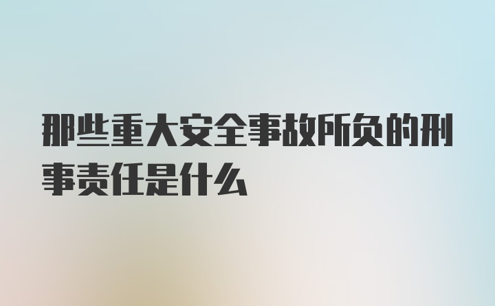 那些重大安全事故所负的刑事责任是什么