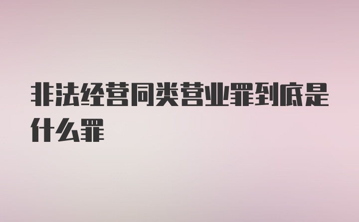 非法经营同类营业罪到底是什么罪