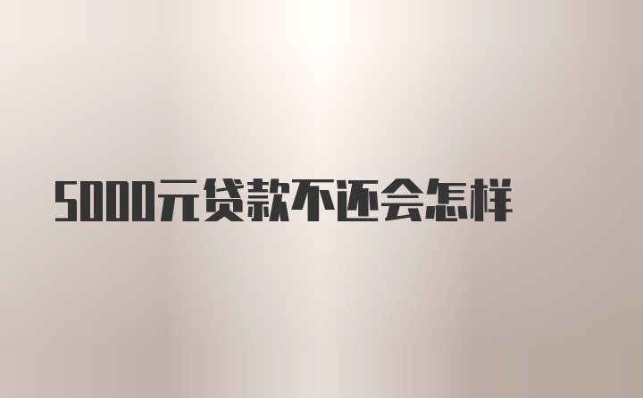 5000元贷款不还会怎样
