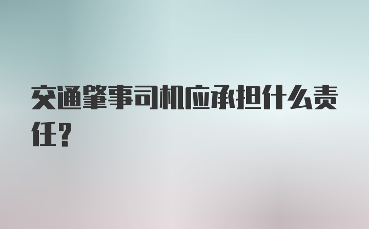 交通肇事司机应承担什么责任？