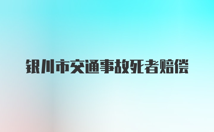 银川市交通事故死者赔偿