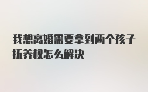 我想离婚需要拿到两个孩子抚养权怎么解决