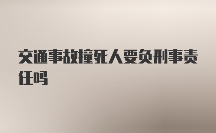 交通事故撞死人要负刑事责任吗